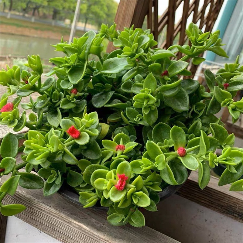 1680748203069.jpg 1680748203069.jpg