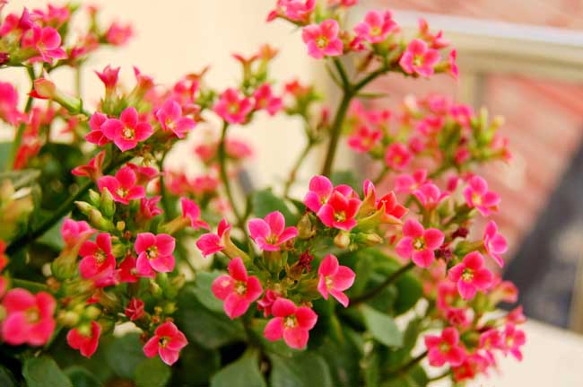 1680748998481.jpg 1680748998481.jpg