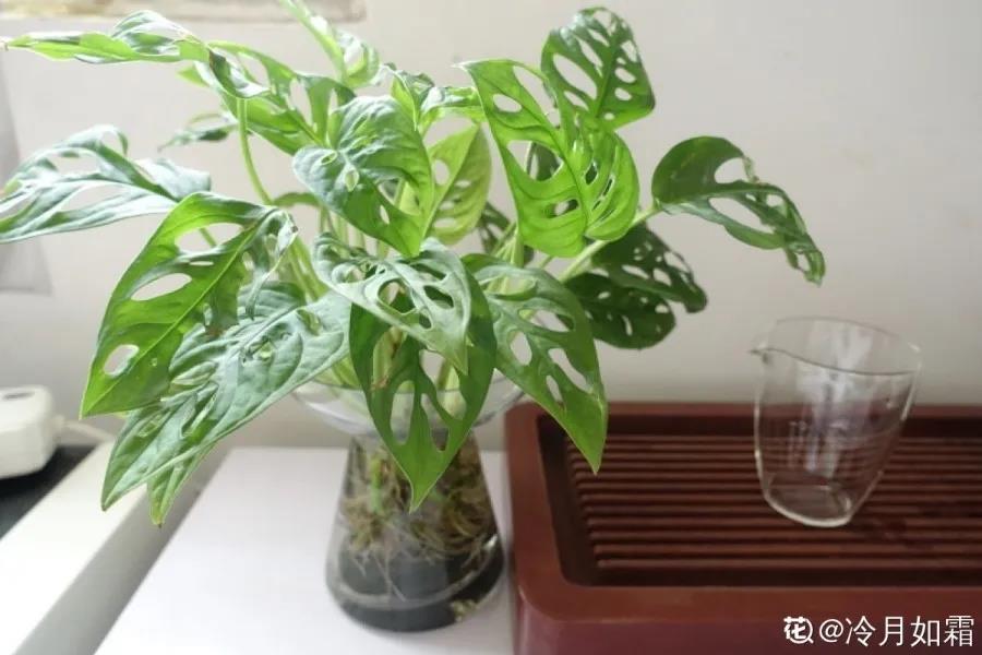 微信图片_20211123154920.jpg 微信图片_20211123154920.jpg