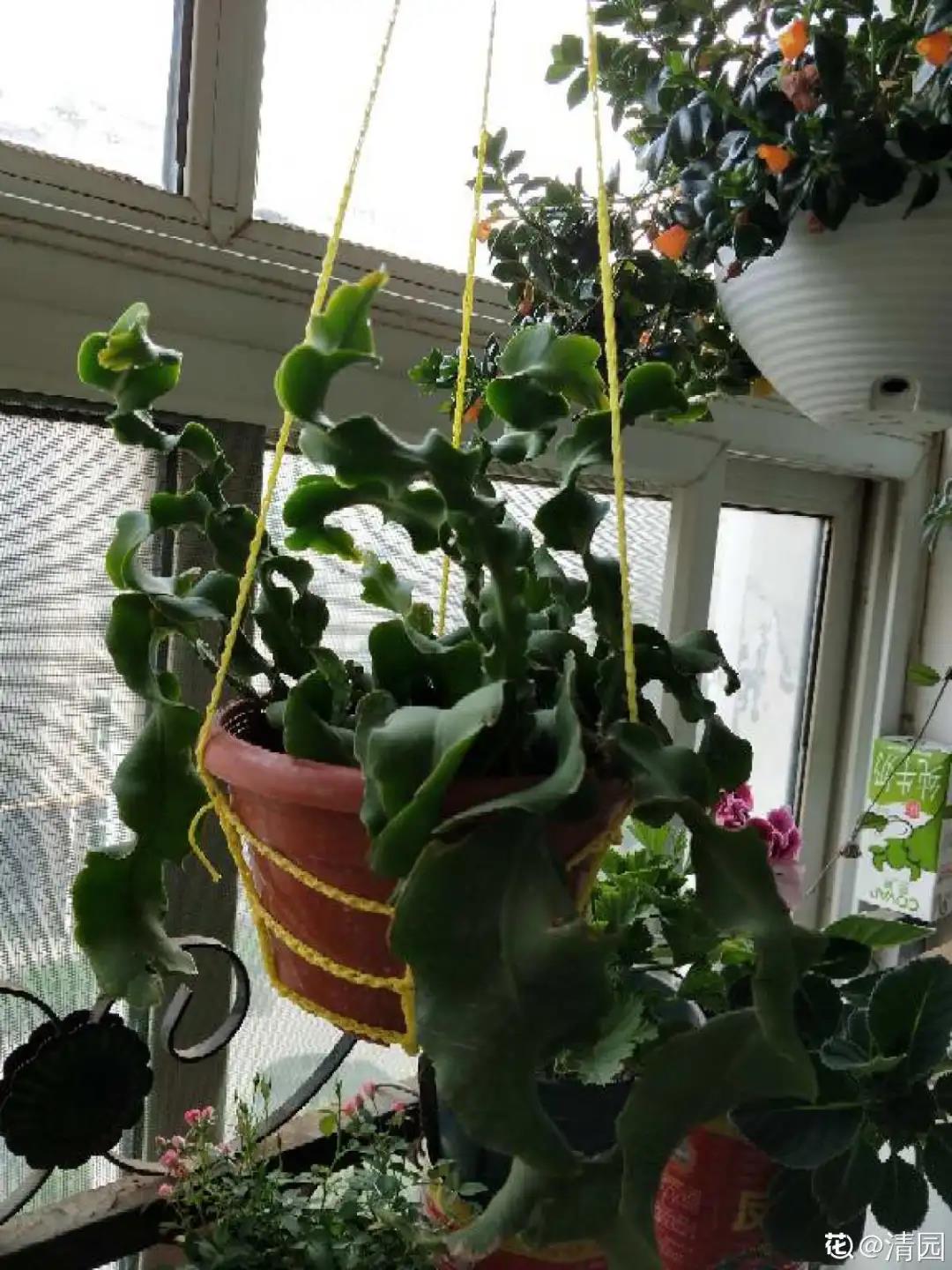 微信图片_20211123154958.jpg 微信图片_20211123154958.jpg