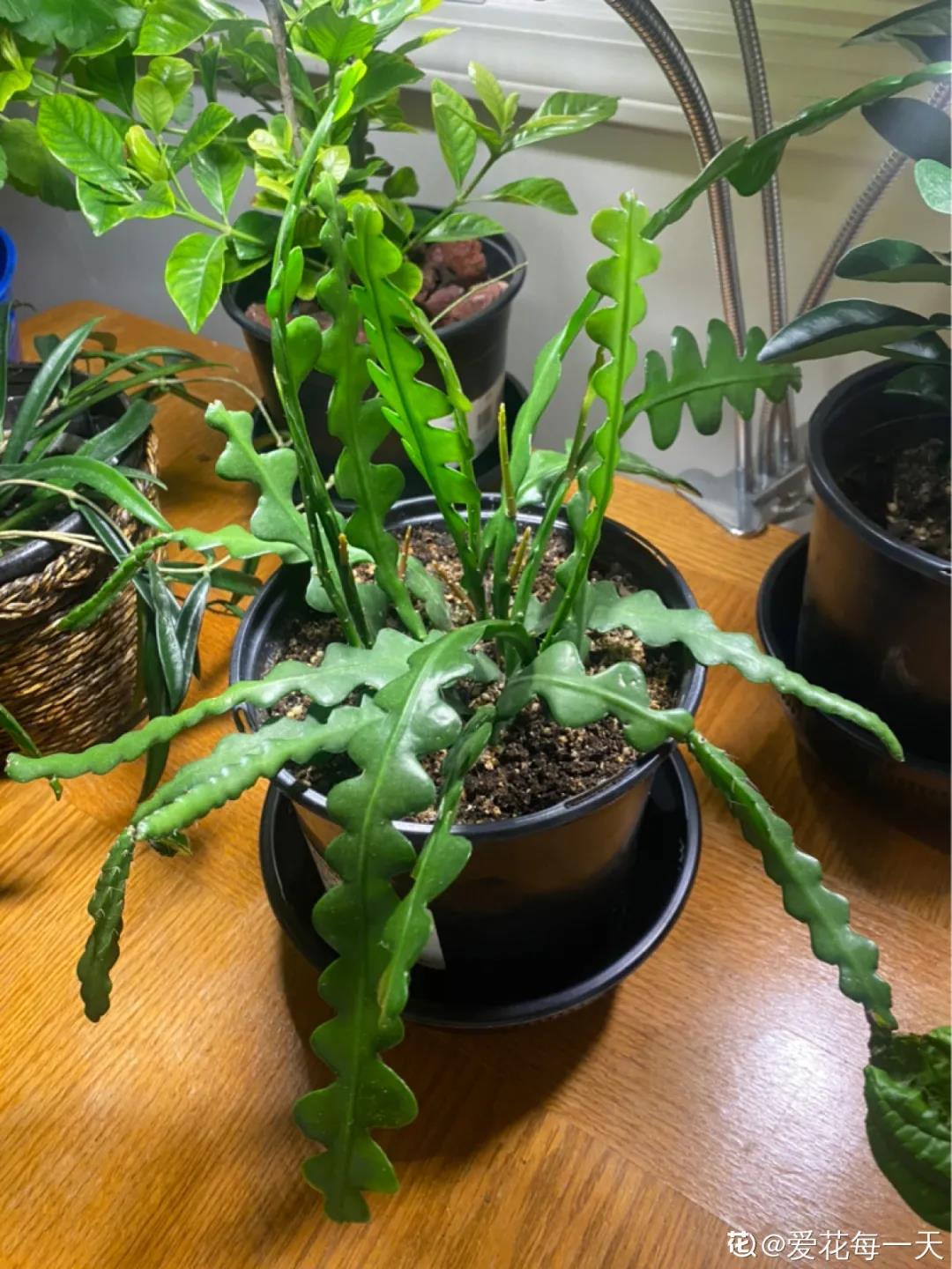 微信图片_20211123155008.jpg 微信图片_20211123155008.jpg