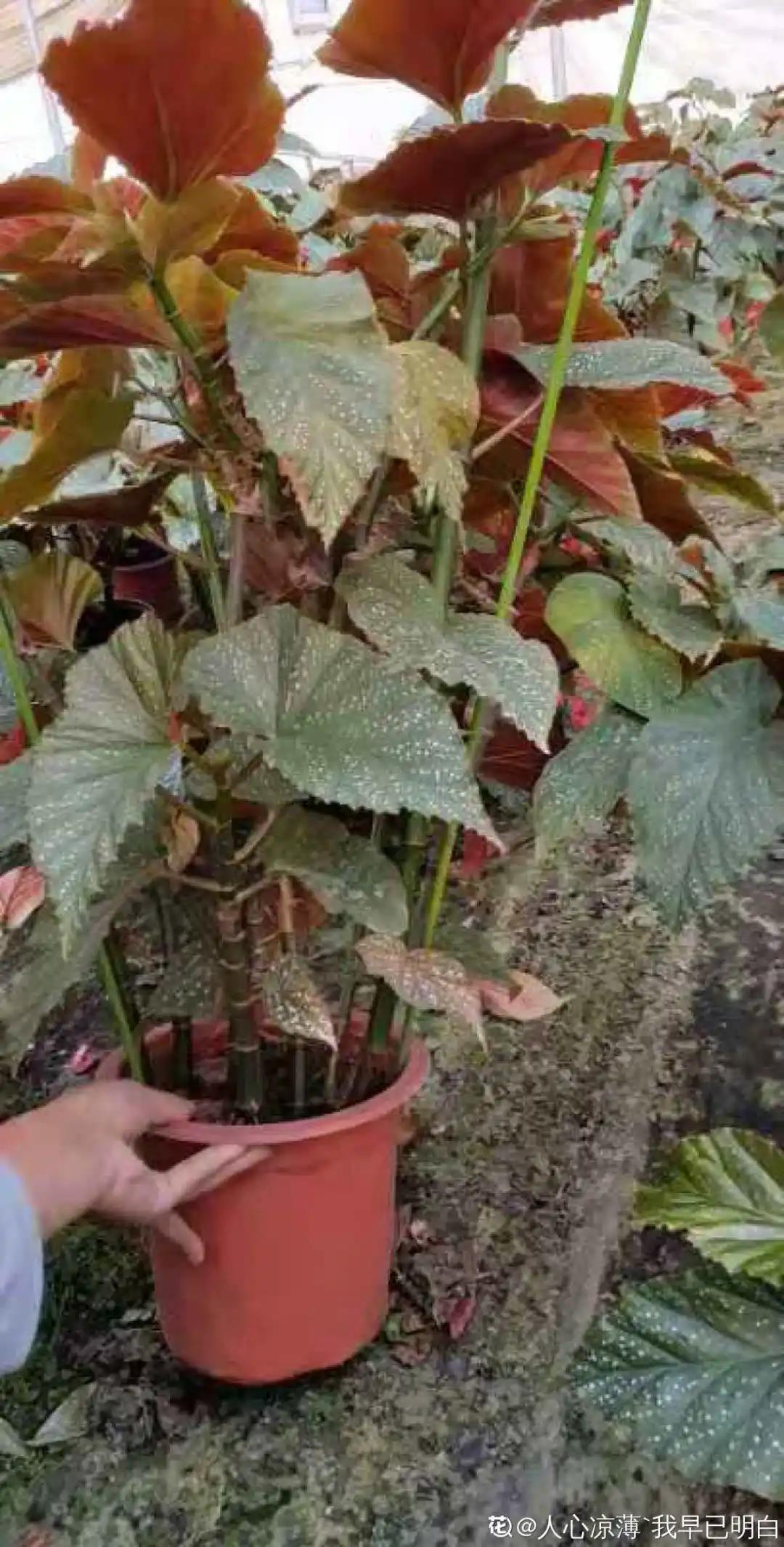 微信图片_20211123155034.jpg 微信图片_20211123155034.jpg