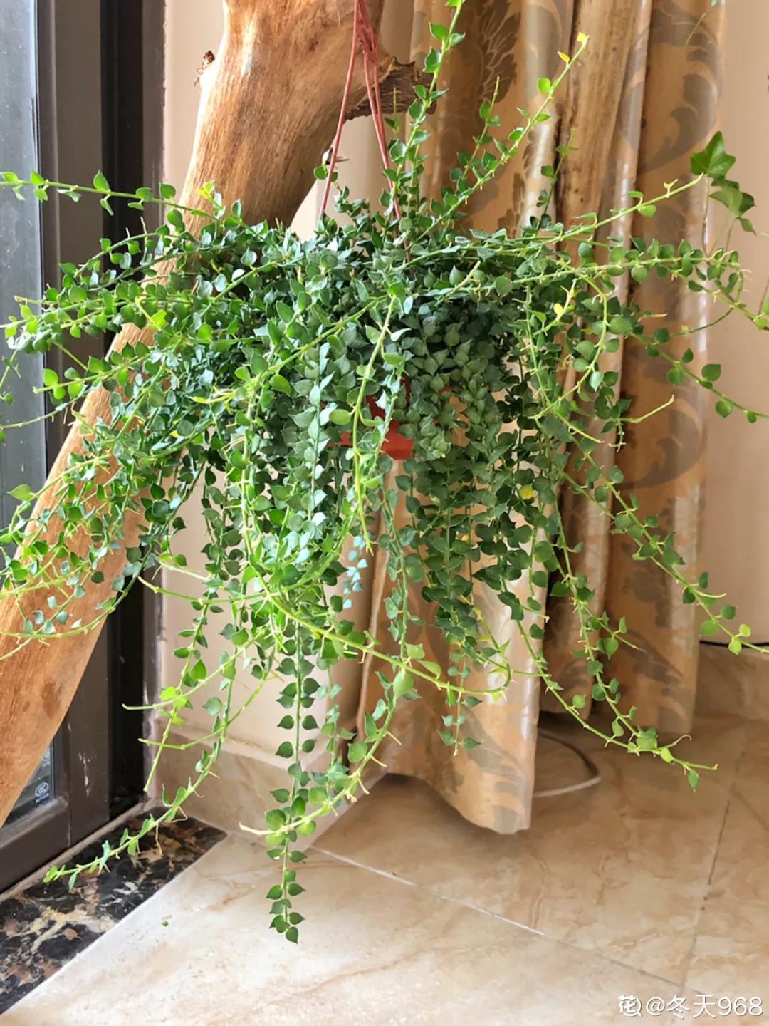 微信图片_20211123155107.jpg 微信图片_20211123155107.jpg