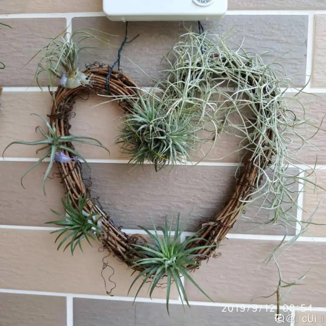 微信图片_20211123155155.jpg 微信图片_20211123155155.jpg