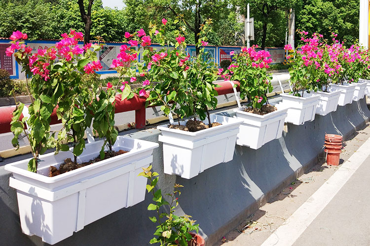 1598410905909941.jpg 1598410905909941.jpg