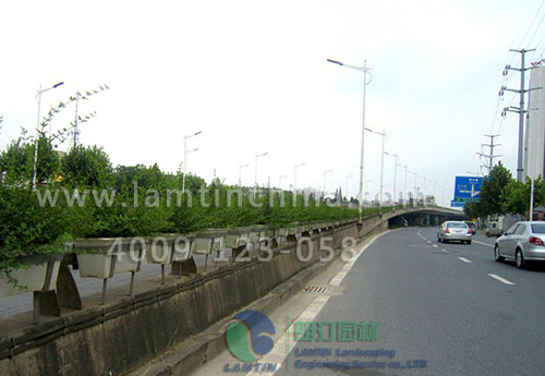 1597977918356680.png 1597977918356680.png