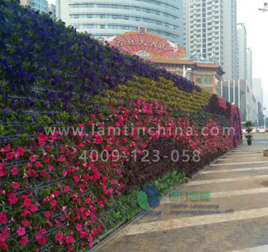 1597889641520114.png 1597889641520114.png